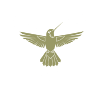 Colibri Spirit Festival Logo green_white_font