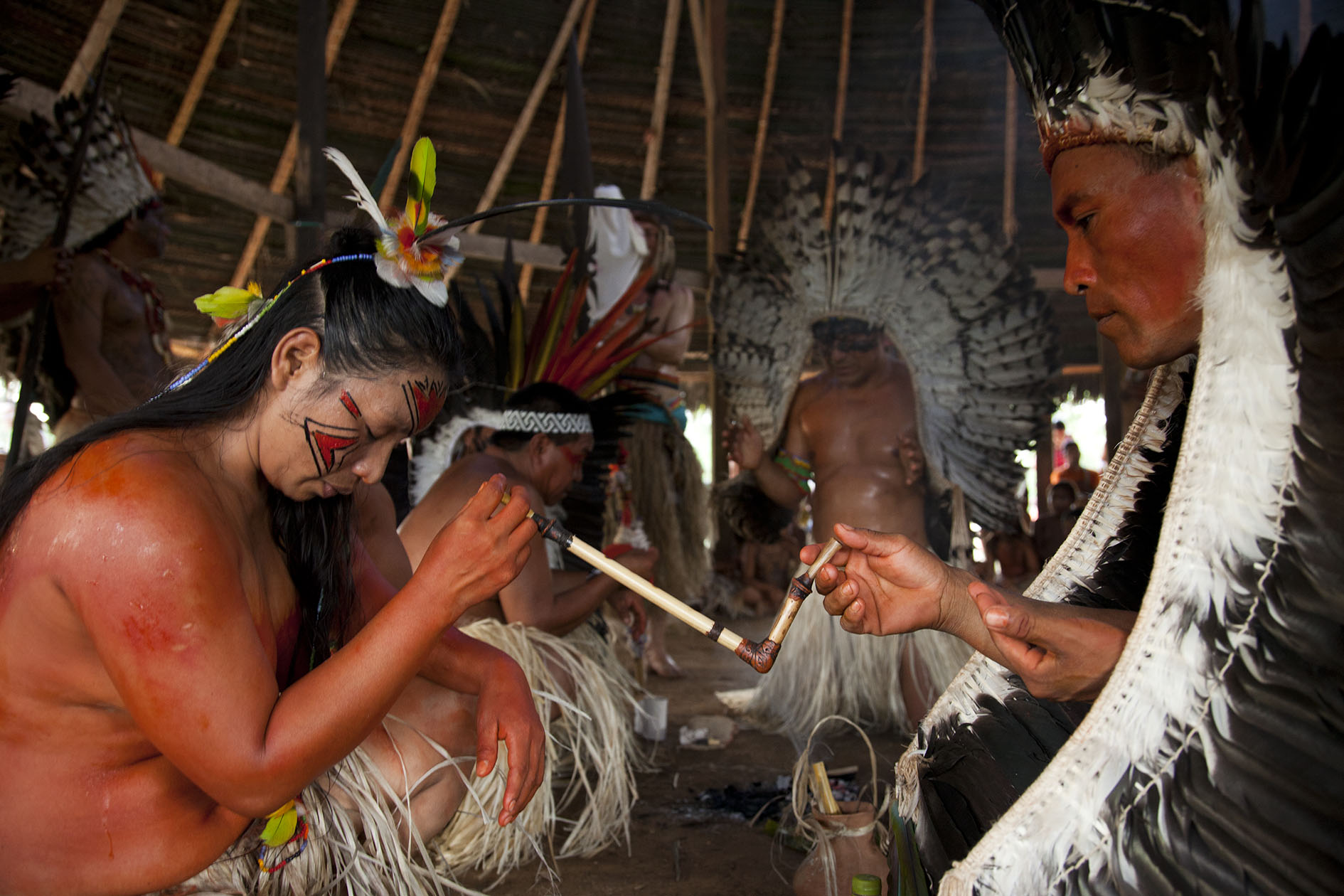 Yawanawá Rapeh Ceremony - Colibri Spirit Festival