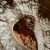 Indigenous Wisdom Points the Way