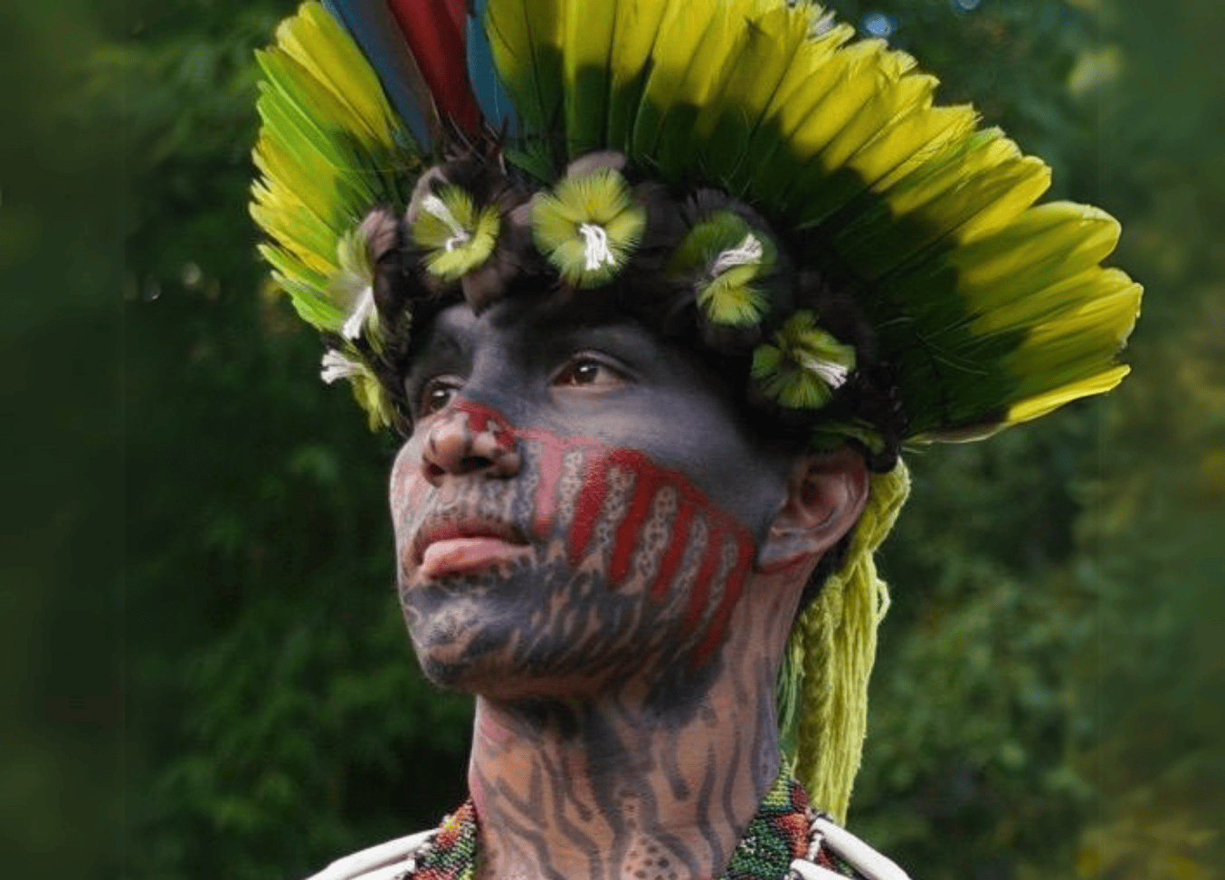 Tuikuru Yawanawa Tuikuru Yawanawa